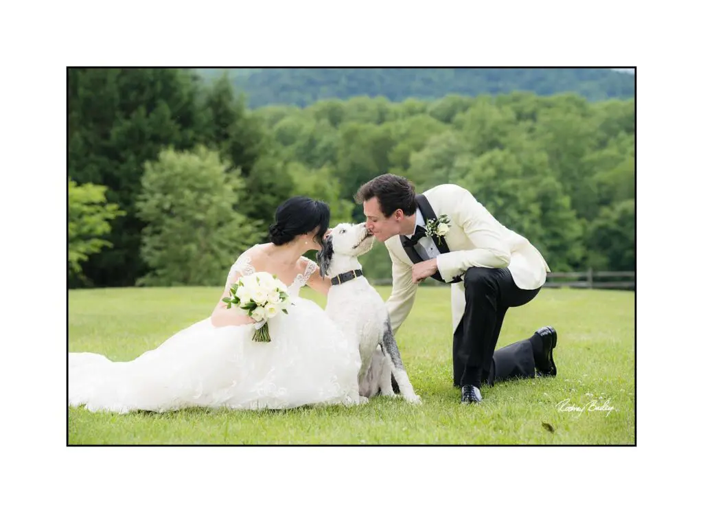 A bride and groom kissing in the grass with their dog.