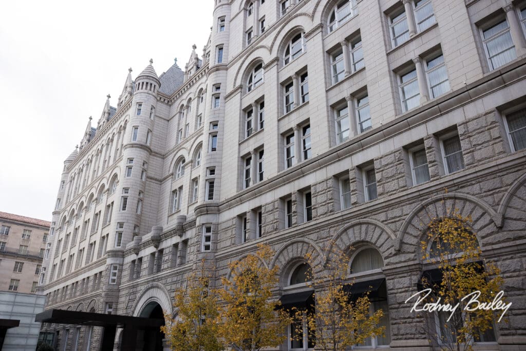 A large building with many windows and a tree