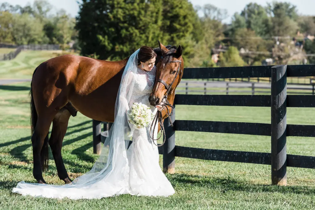 A bride and groom in front of a horse.