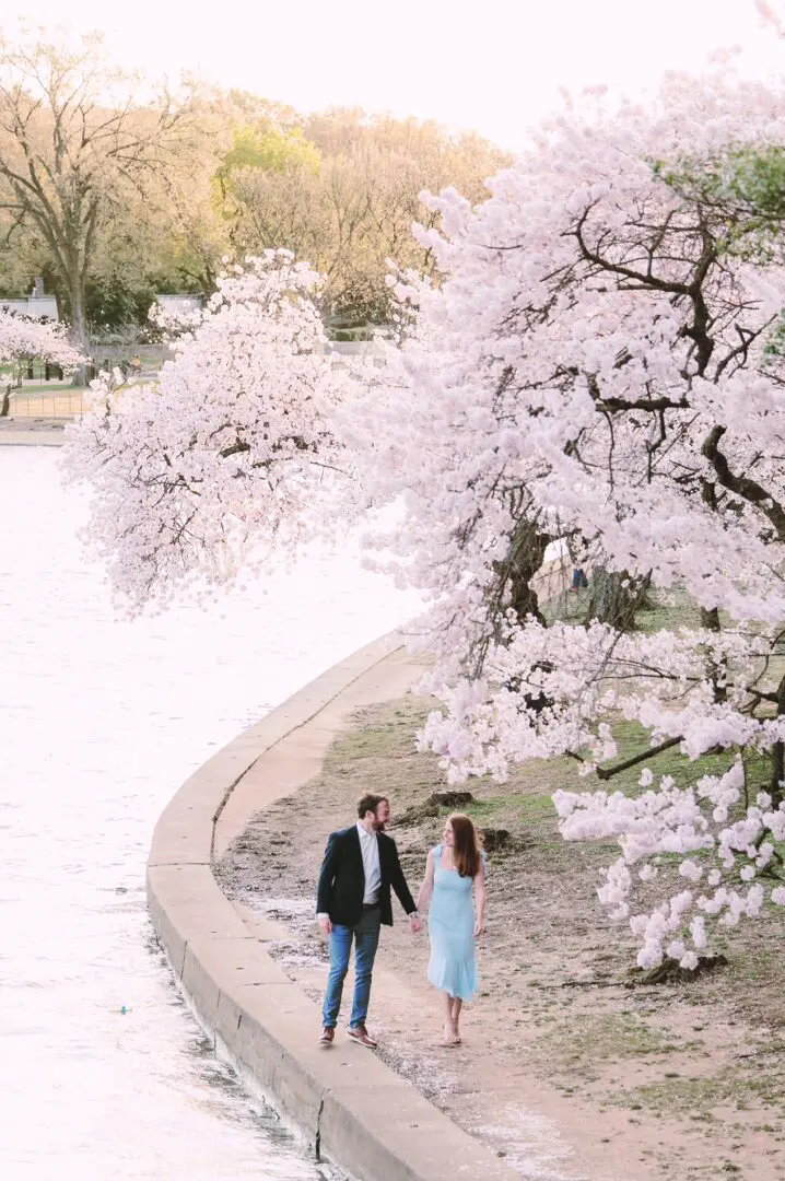 Cherry-Blossoms-Washington-DC-engagement-session-photographers, engagement-photography-Tidal-Basin-Cherry-Blossoms-Washington-DC