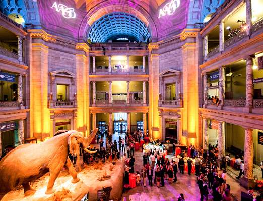 Professional Party Photography Services Northern Virginia for Capturing Authentic Celebrations by Rodney Bailey