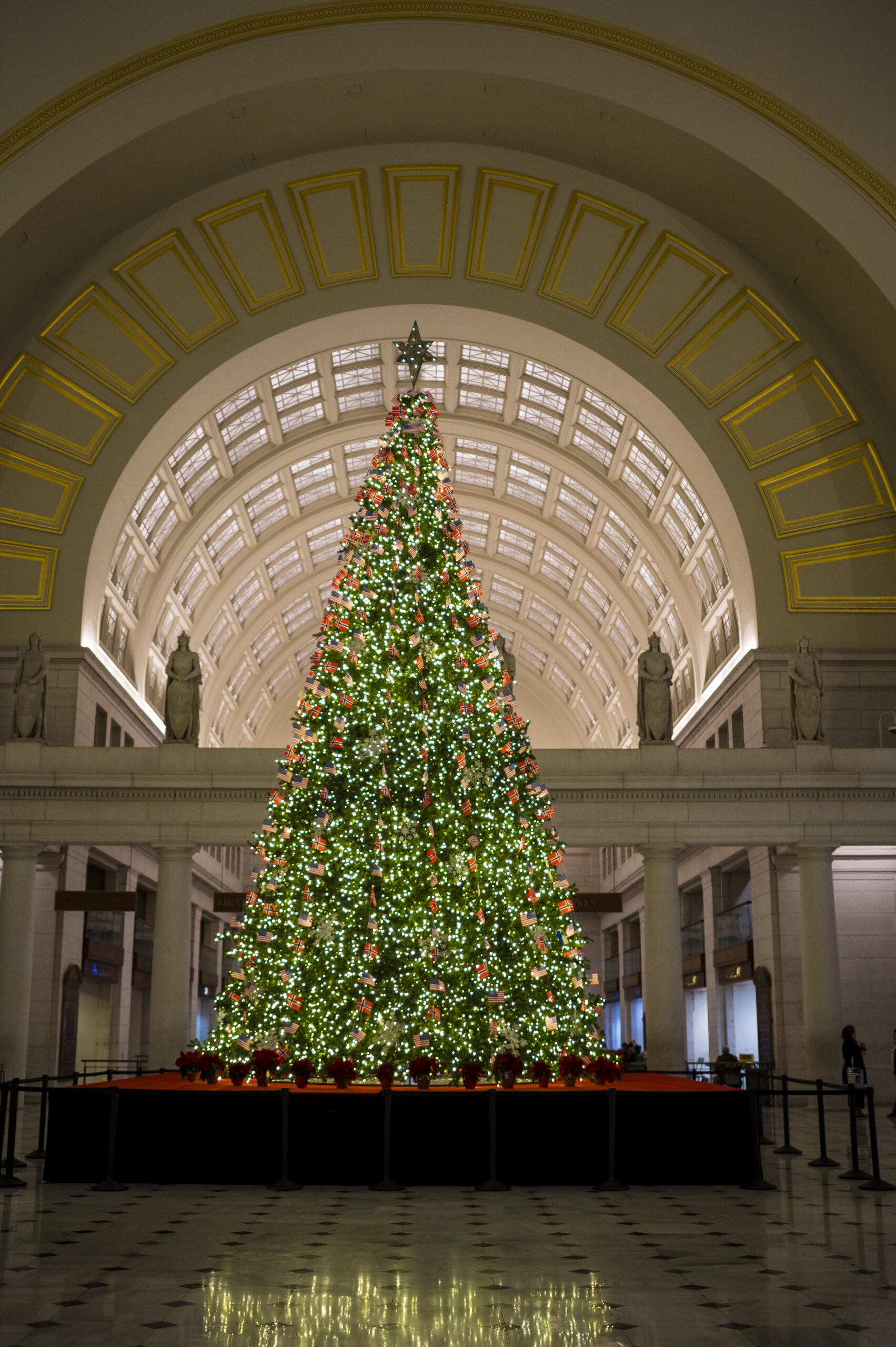Company Holiday Party Photography for DC
