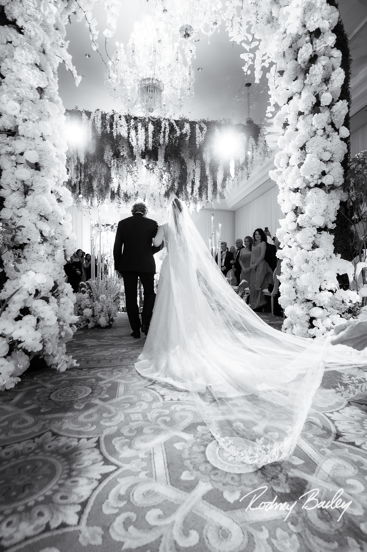 Book a Documentary Wedding Photographer in DC