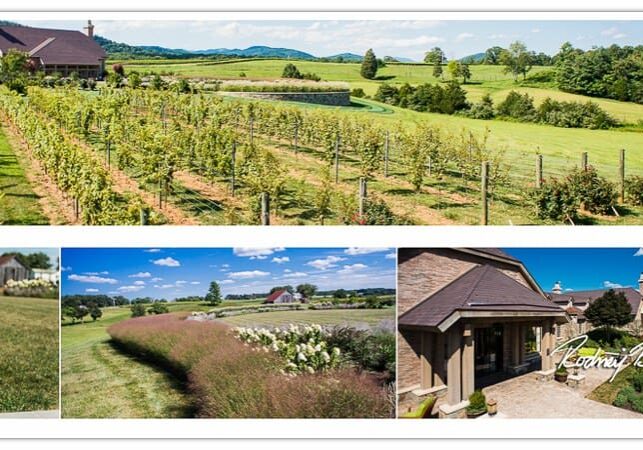 0001__Early-Mountain-Vineyard-Wedding-Photographer-Charlottesville-Virginia_Rodney-Bailey-VA-Wedding-Photography-1