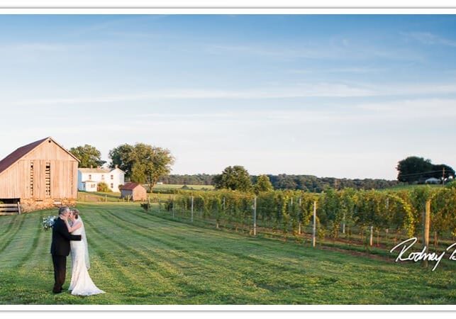 0006__Early-Mountain-Vineyard-Wedding-Photographer-Charlottesville-Virginia_Rodney-Bailey-VA-Wedding-Photography