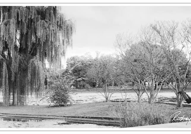 05_Engagement-Photography-Washington-DC-Rodney-Bailey-Wedding-Constitution-Gardens