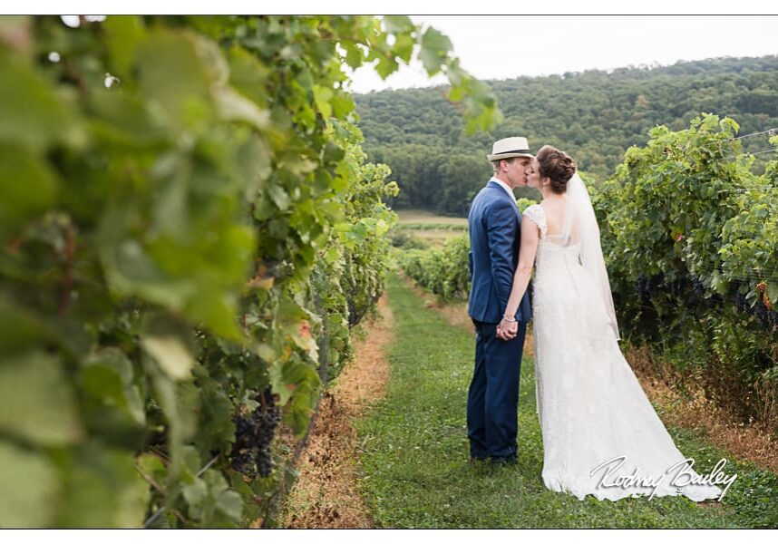 10_Northern-Virginia-Wedding-Photographers-Breaux-Vineyards-Winery-Wedding-VA (1)