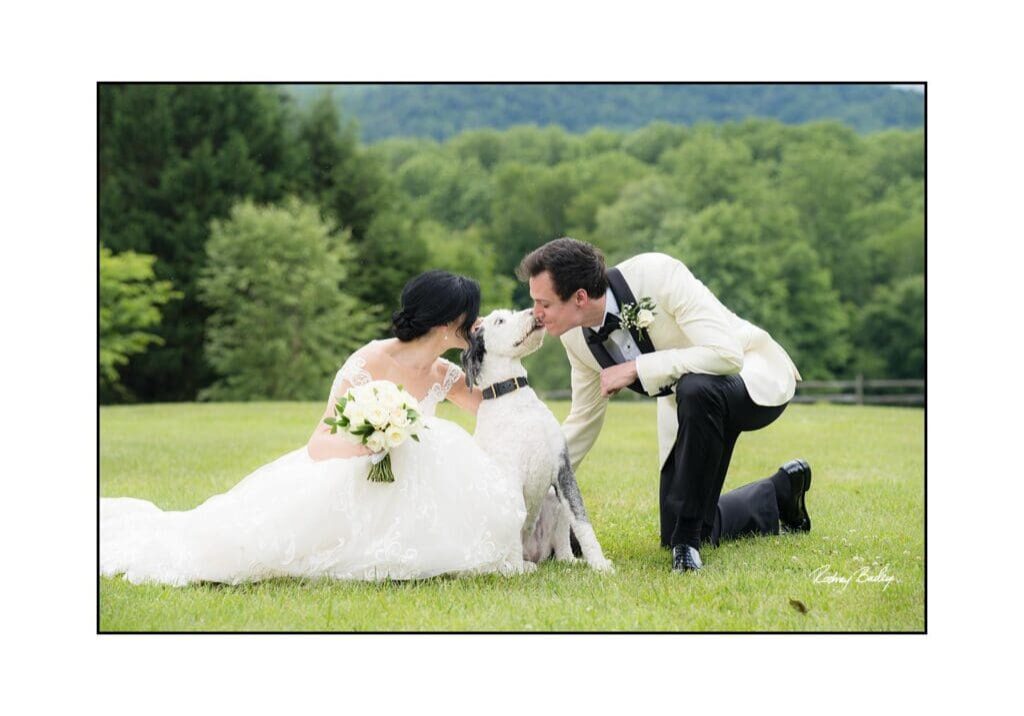 A bride and groom kissing in the grass with their dog.