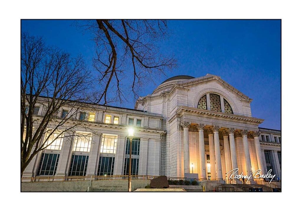 Natural-History-Museum-Washington-DC-event-photographers-Rodney-Bailey-Photography__0001-1024x728